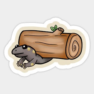 Spotted Salamander Sticker